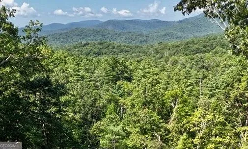 LOTS 12 &14 Crows Nest Clayton, GA 30525