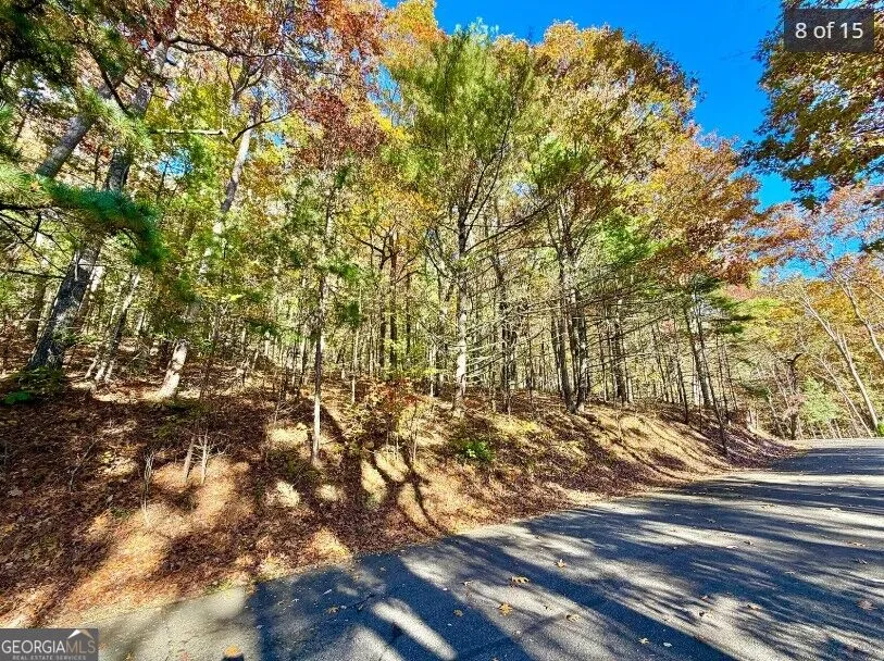 LOTS 12 &14 Crows Nest Clayton, GA 30525
