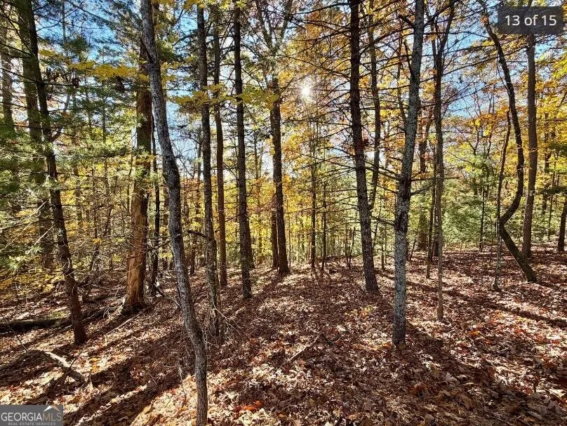 LOTS 12 &14 Crows Nest Clayton, GA 30525
