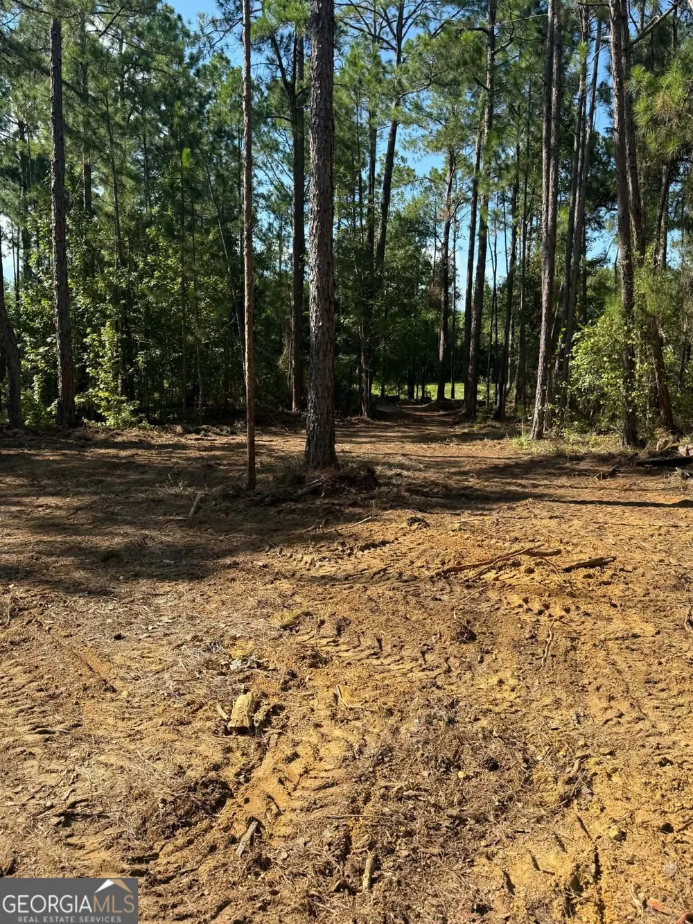 0 Fountain RD Eastman, GA 31023