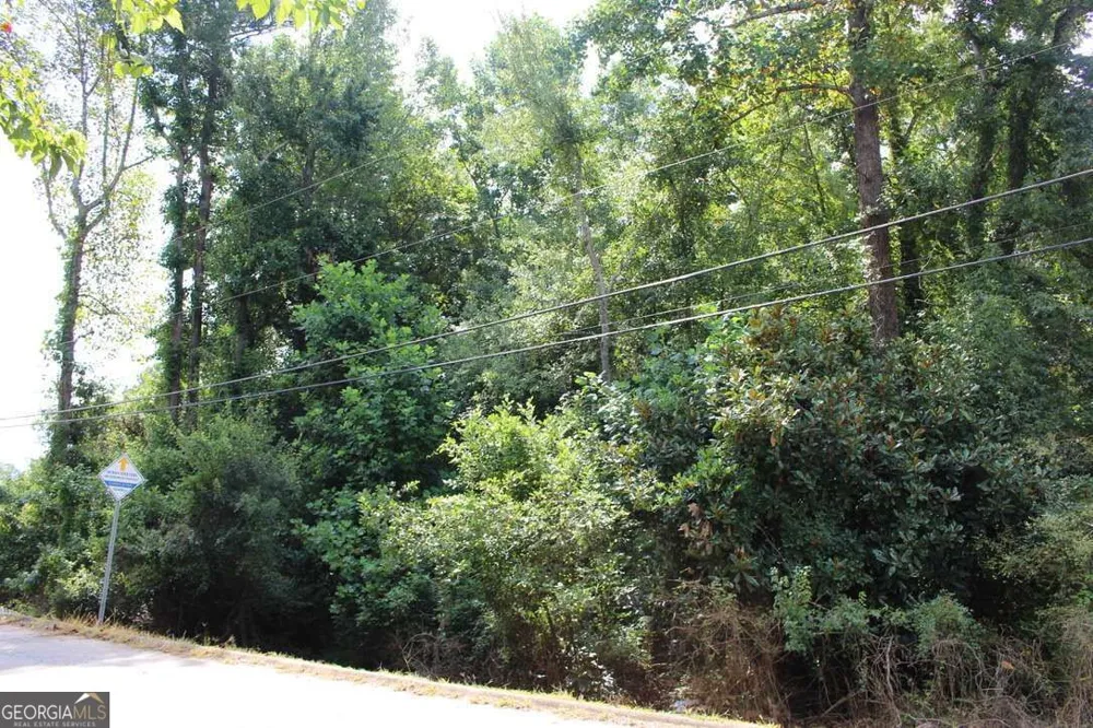 218 Ella DR Griffin, GA 30223