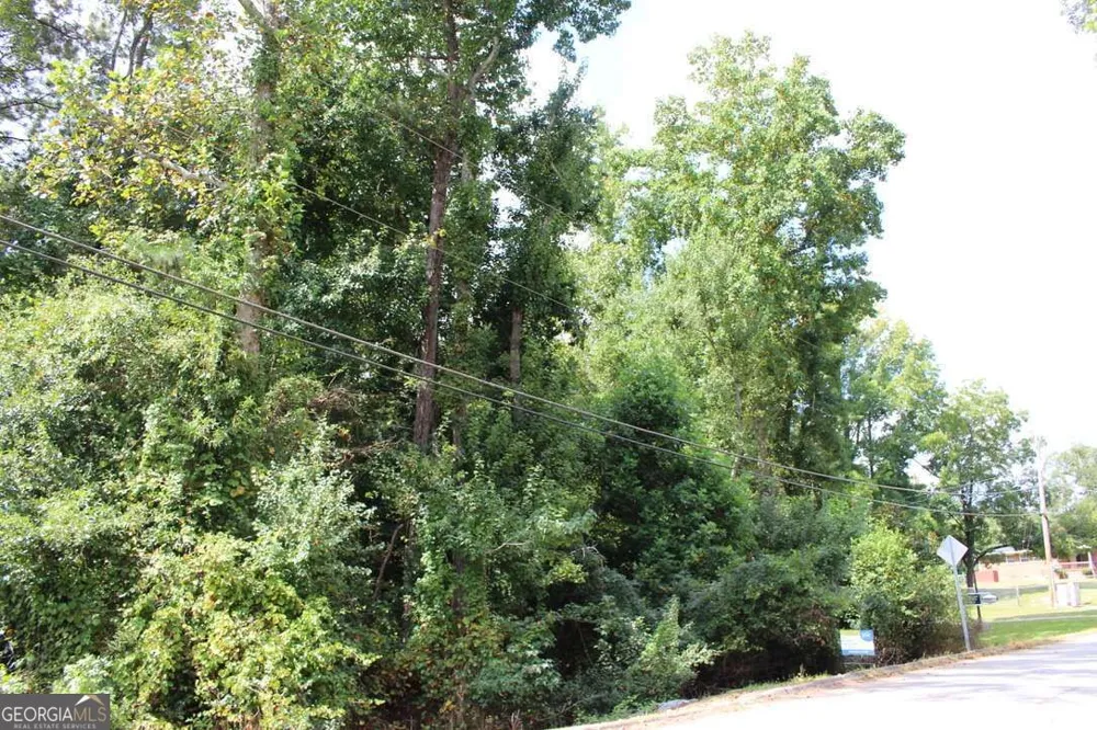 218 Ella DR Griffin, GA 30223