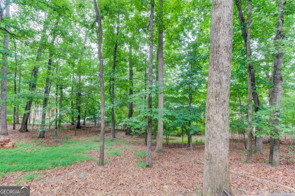 1920 Woods River LN Duluth, GA 30097
