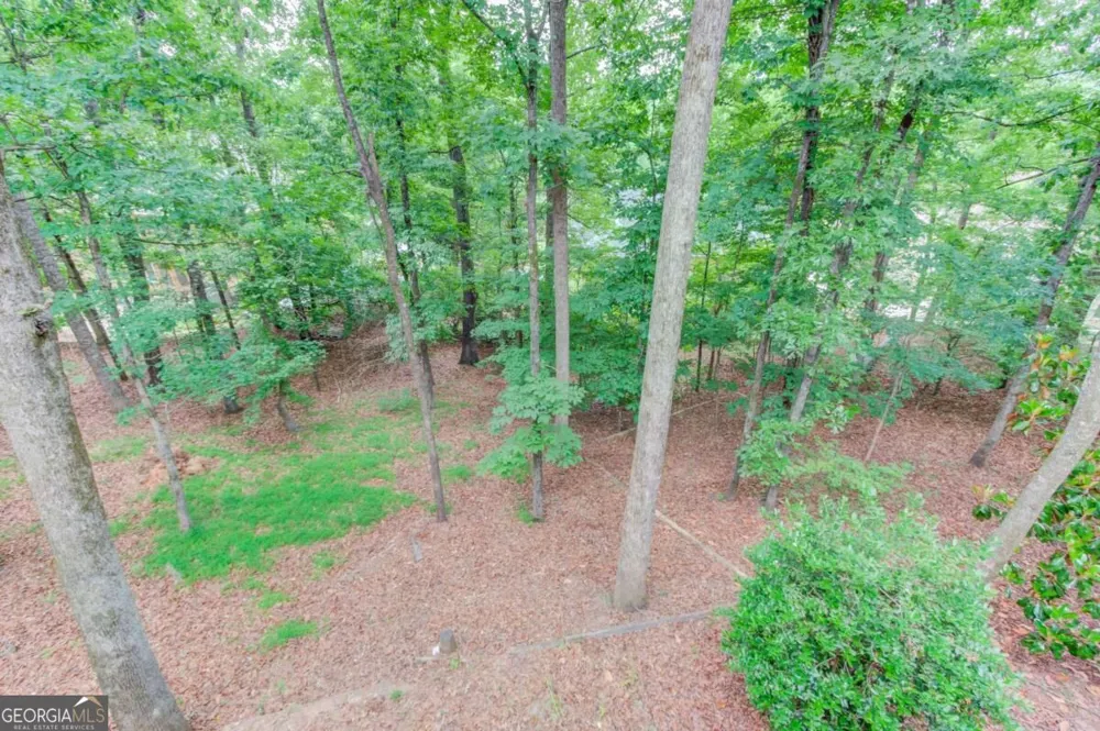 1920 Woods River LN Duluth, GA 30097