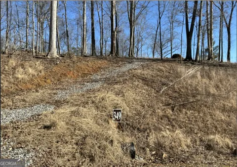 LT 349 REEL RD