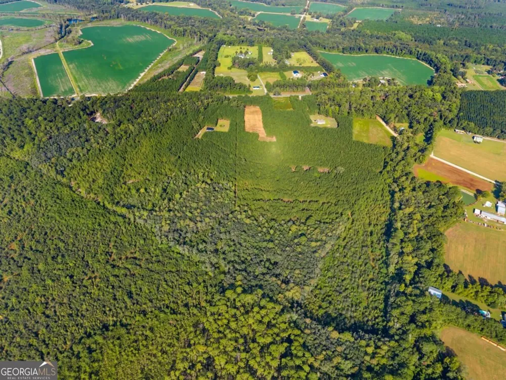 0 Hwy 67 Pembroke, GA 31321