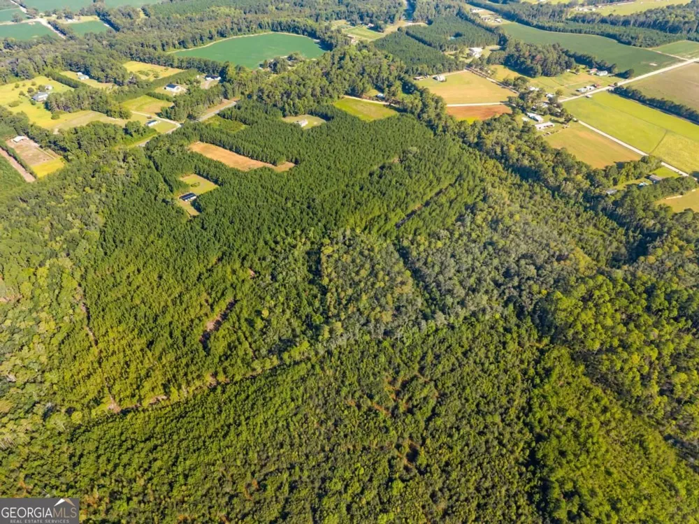 0 Hwy 67 Pembroke, GA 31321