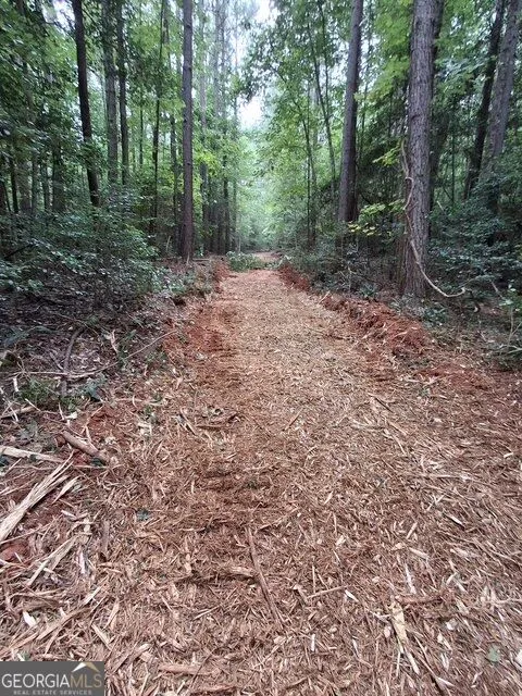 3729 Duncan Bridge RD Cornelia, GA 30531