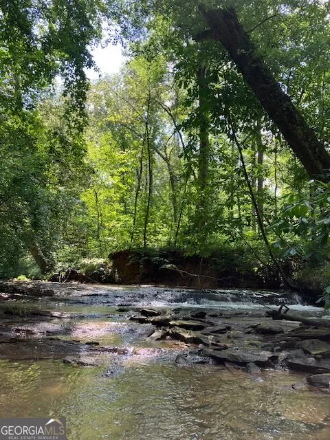 3729 Duncan Bridge RD Cornelia, GA 30531