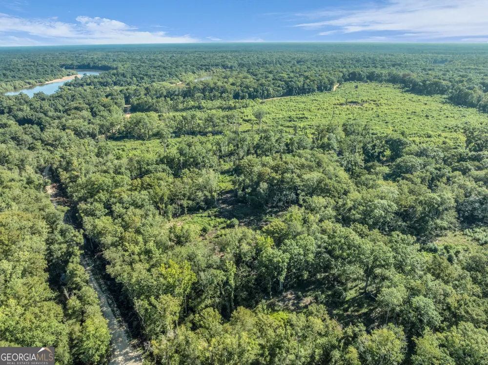 0 Brook Road Jesup, GA 31545