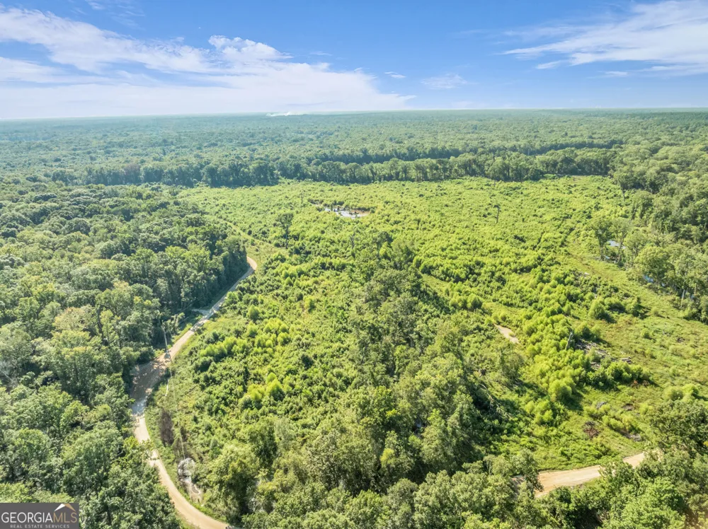 0 Brook Road Jesup, GA 31545