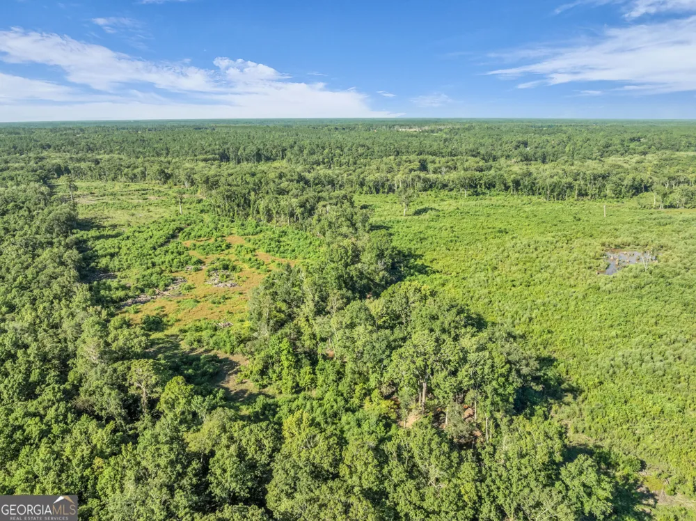 0 Brook Road Jesup, GA 31545