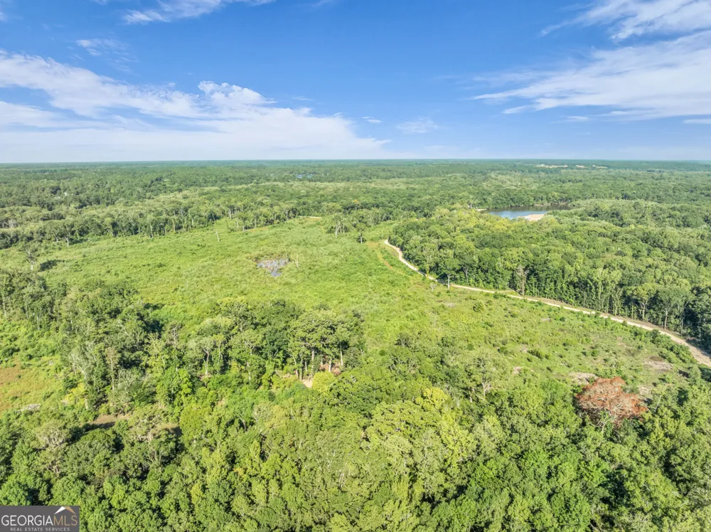 0 Brook Road Jesup, GA 31545