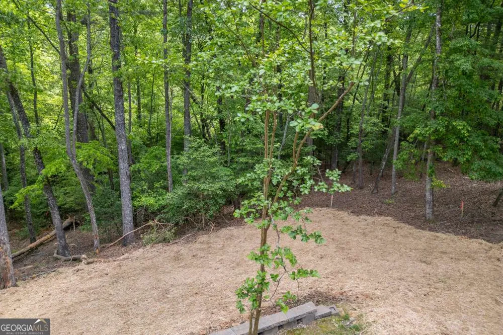 40 Caledonia DR Blairsville, GA 30512