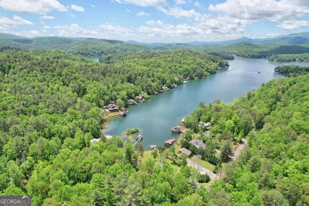 89 Arkansas LN Tiger, GA 30576