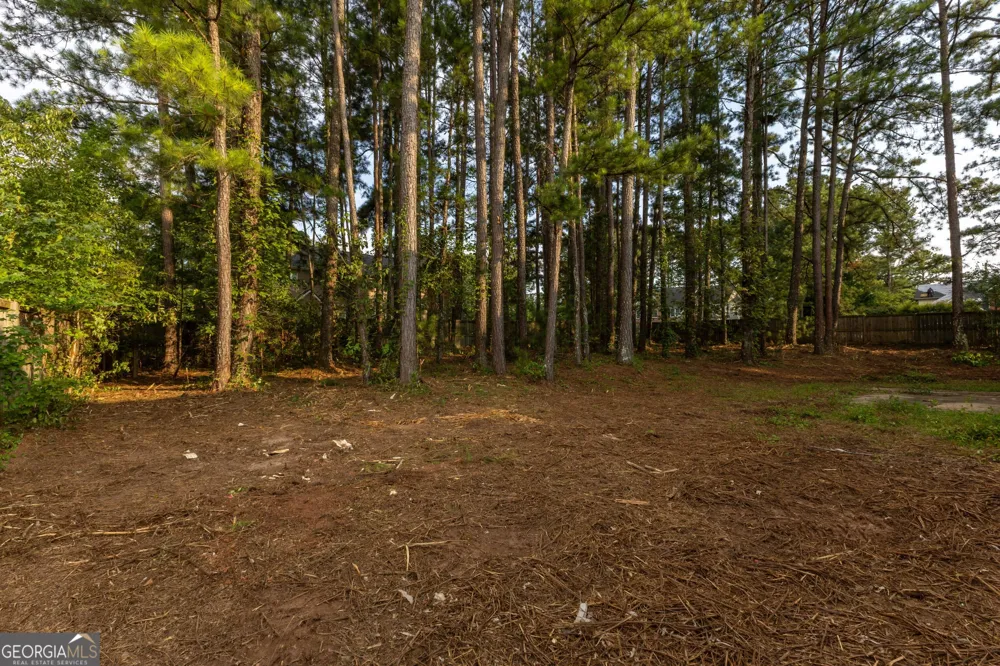 300 Pilgrim WAY Fayetteville, GA 30214