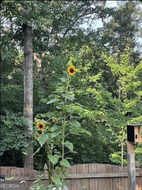 127 Stargaze RDG Canton, GA 30114