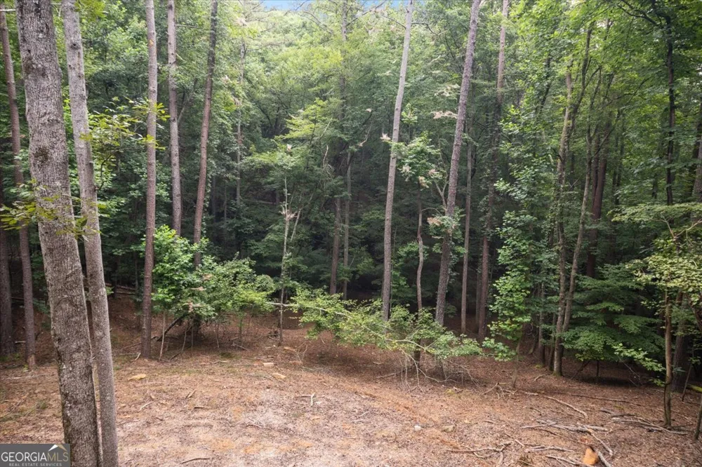 129 Monticello DR Ellijay, GA 30540