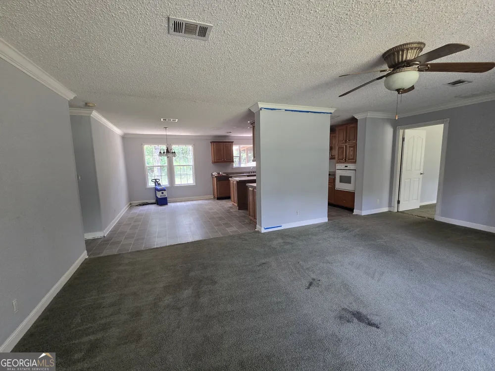 110 Bird RD Springfield, GA 31329