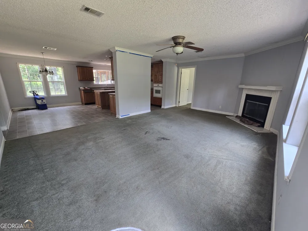 110 Bird RD Springfield, GA 31329