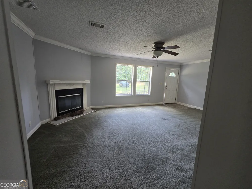 110 Bird RD Springfield, GA 31329