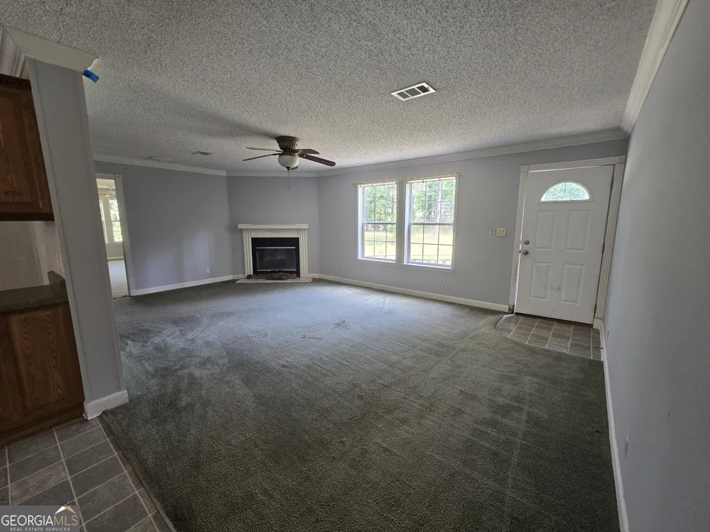 110 Bird RD Springfield, GA 31329