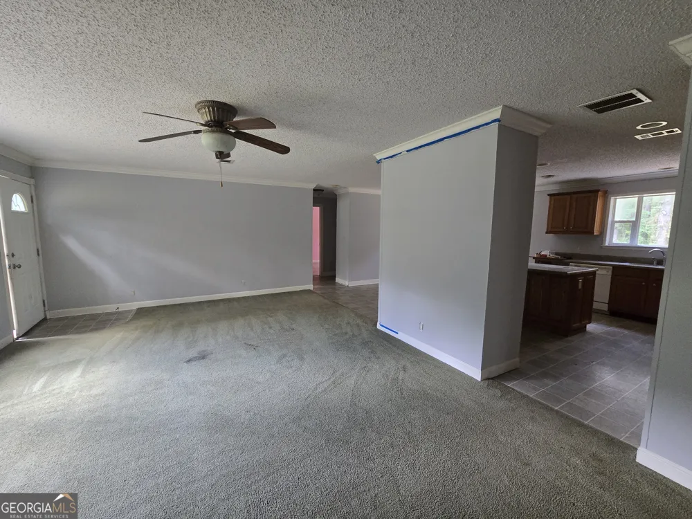 110 Bird RD Springfield, GA 31329