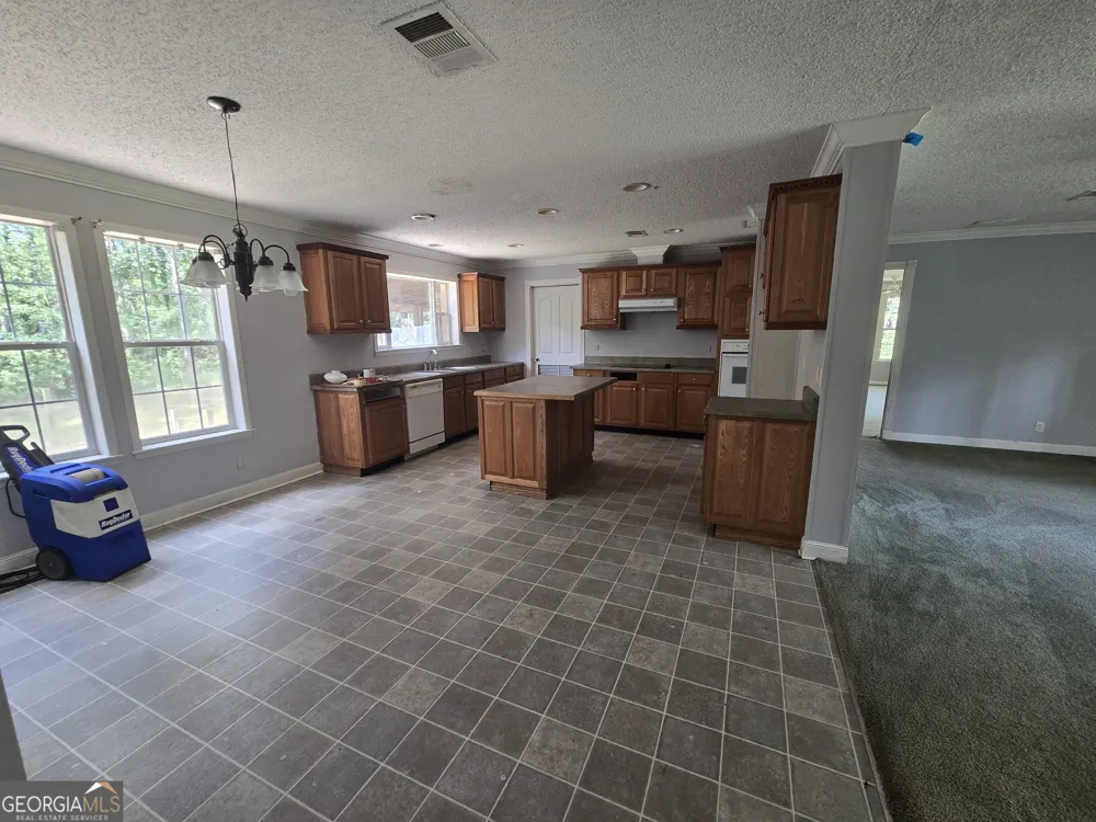 110 Bird RD Springfield, GA 31329