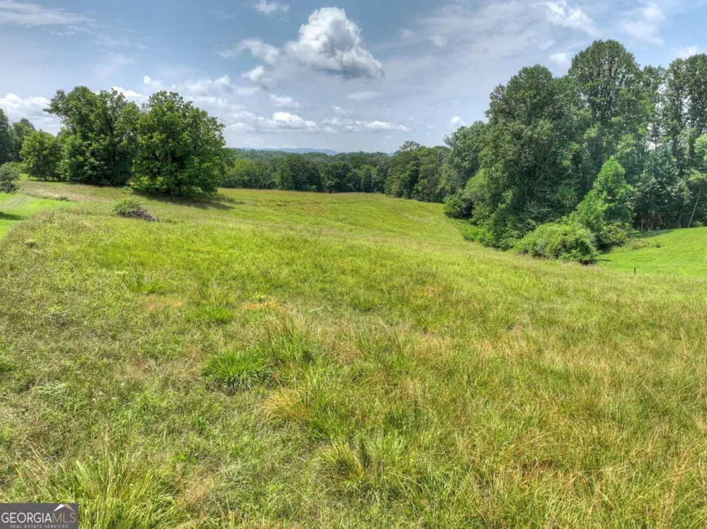 210 Lavista DR Blue Ridge, GA 30513