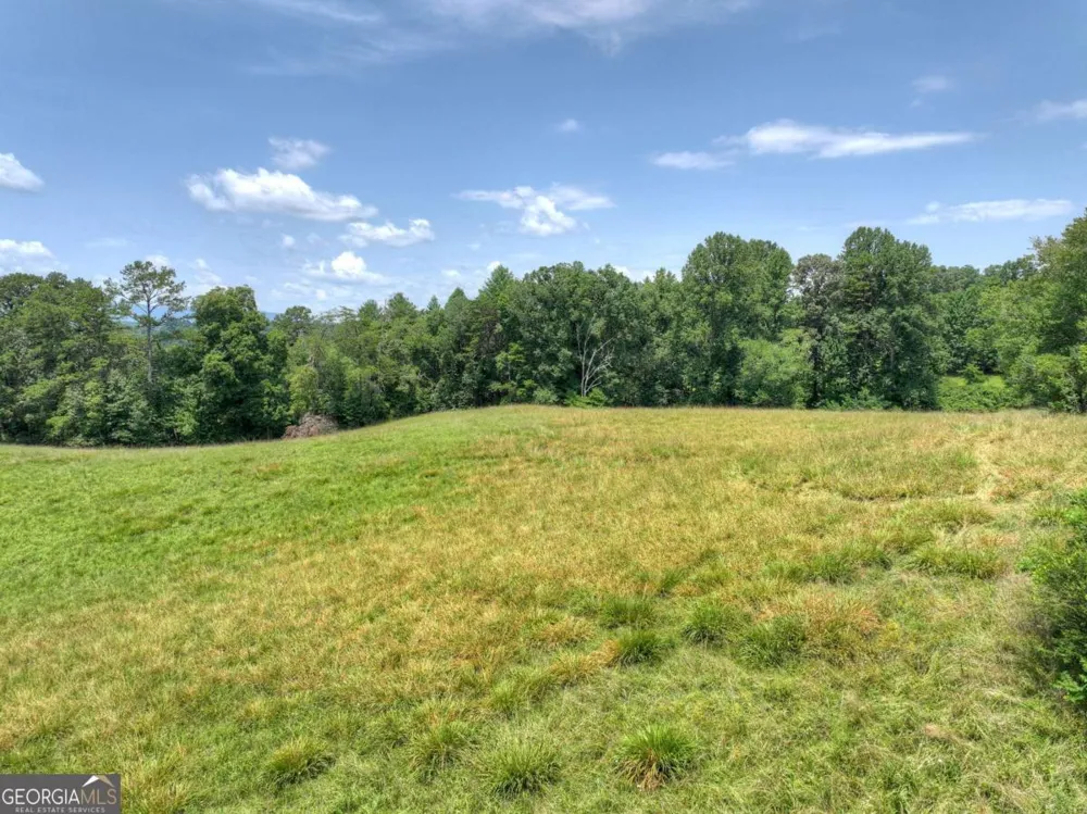 210 Lavista DR Blue Ridge, GA 30513