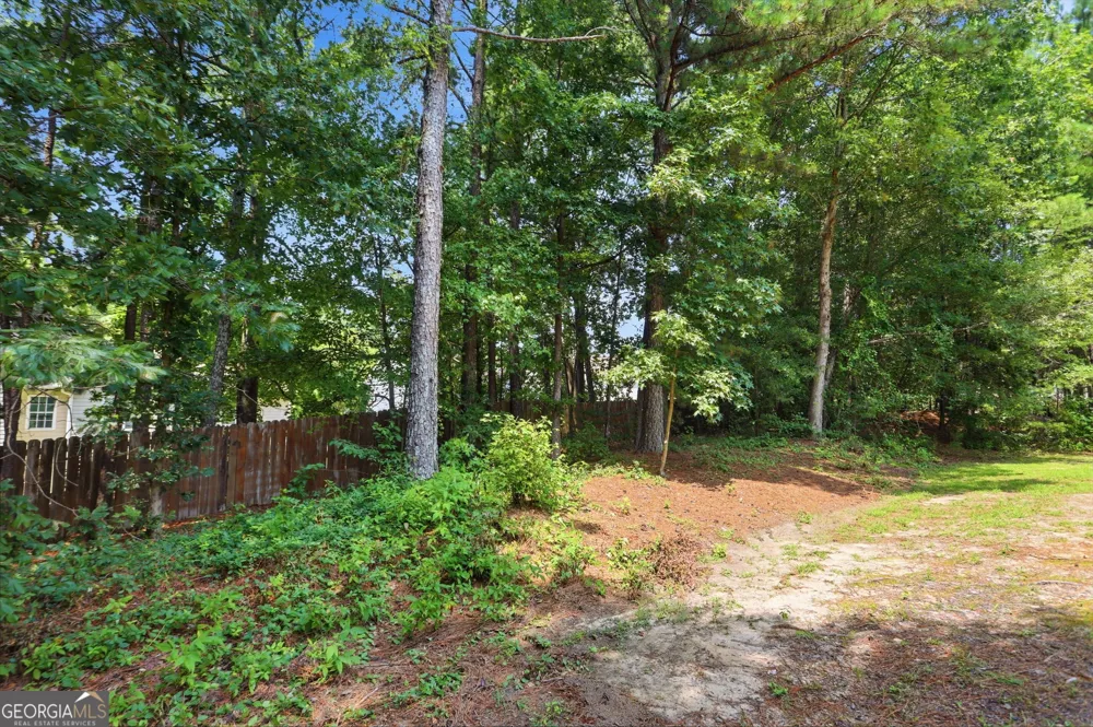 3925 Bradford Walk TRL Buford, GA 30519