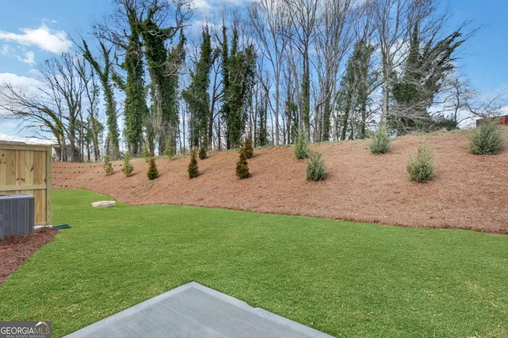 8 Trace BLF Dawsonville, GA 30534