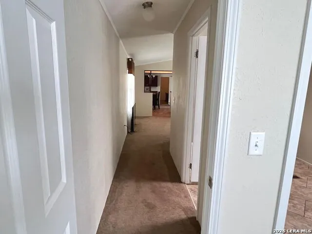 13808-II Greenwood Atascosa, TX 78002