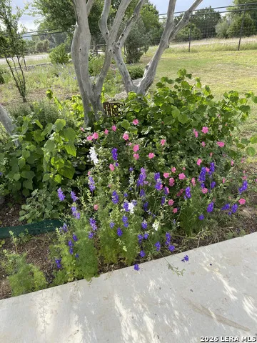 317 WHITE OAK TRL Boerne, TX 78006