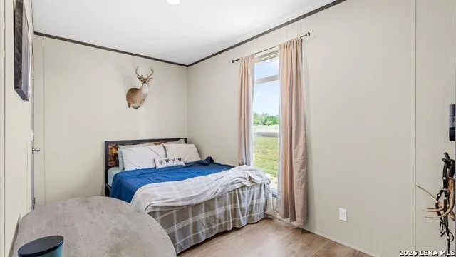 3131 sandy elm La Vernia, TX 78121