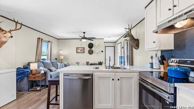 3131 sandy elm La Vernia, TX 78121