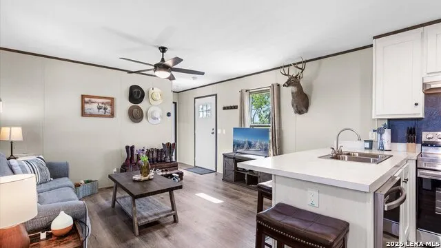 3131 sandy elm La Vernia, TX 78121