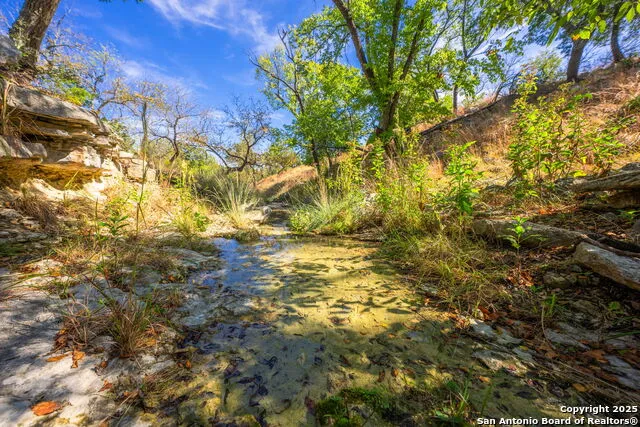 131 Bootlegger Ln Kerrville, TX 78028
