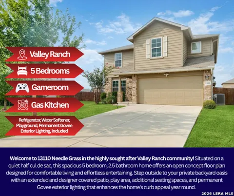 13110 Needle Grass