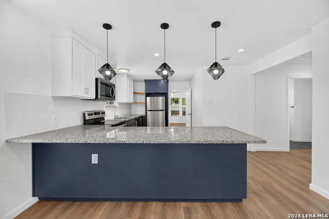 747 BAILEY AVE San Antonio, TX 78210