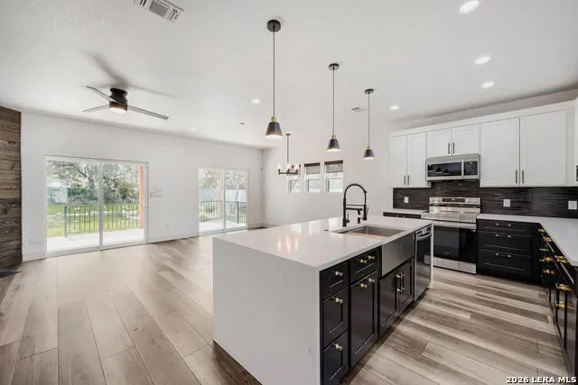 673 Mockingbird Cv Spring Branch, TX 78070