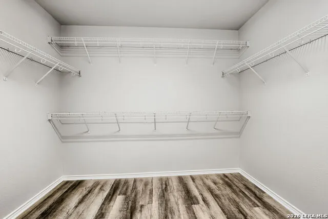 12118 Painted Daisy San Antonio, TX 78253