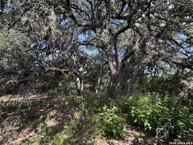 LOT 2025 Split Ridge Spring Branch, TX 78070