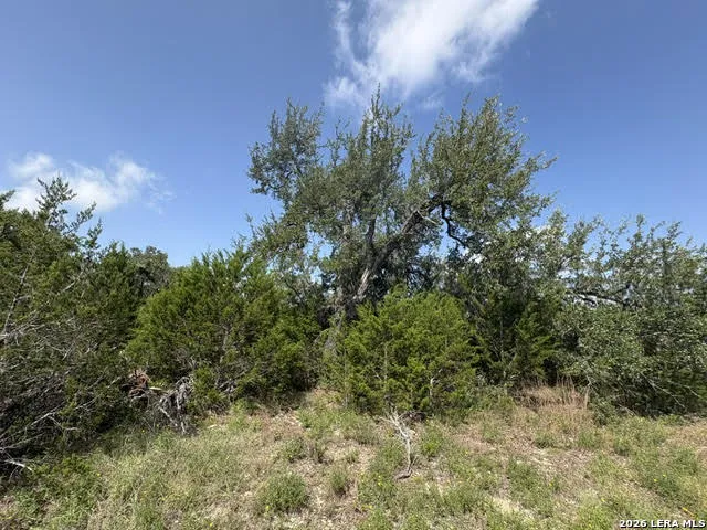 LOT 2025 Split Ridge Spring Branch, TX 78070