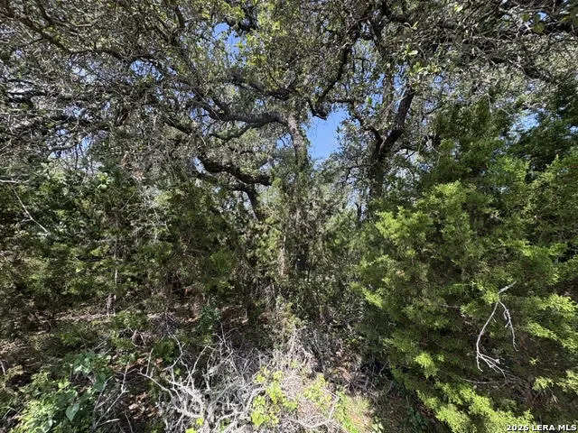 LOT 2025 Split Ridge Spring Branch, TX 78070