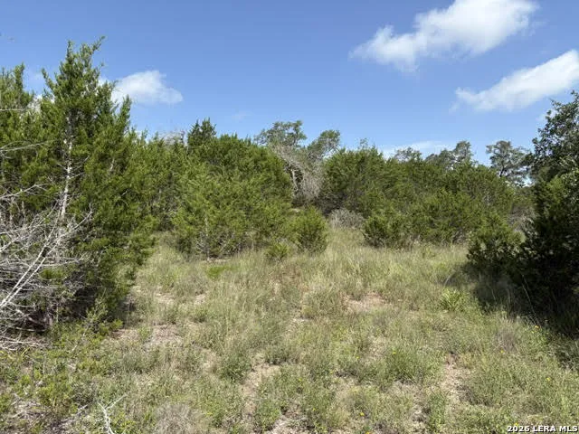 LOT 2025 Split Ridge Spring Branch, TX 78070