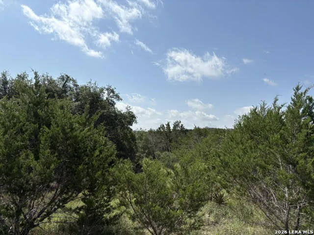 LOT 2025 Split Ridge Spring Branch, TX 78070