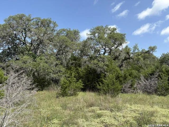 LOT 2025 Split Ridge Spring Branch, TX 78070