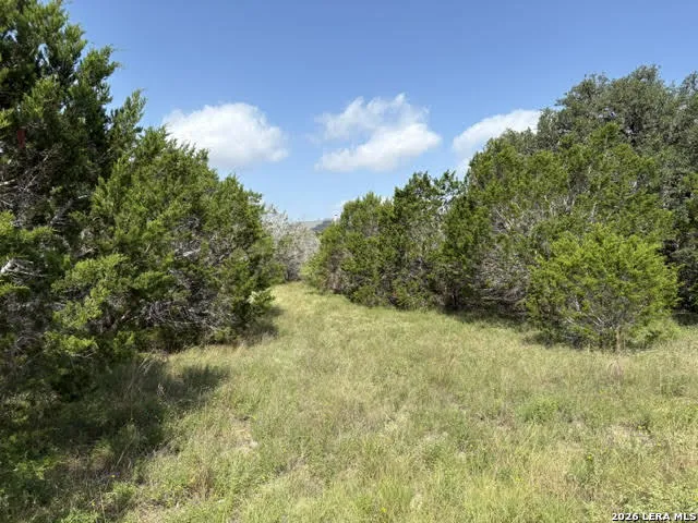 LOT 2025 Split Ridge Spring Branch, TX 78070
