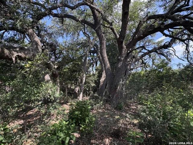 LOT 2025 Split Ridge Spring Branch, TX 78070